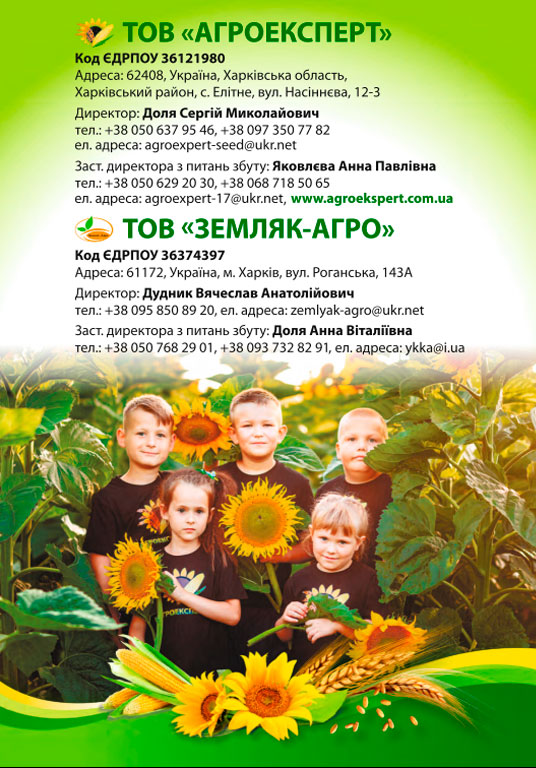 Каталог агропродукции от компании АгроЭксперт: продажа высококачественных семян